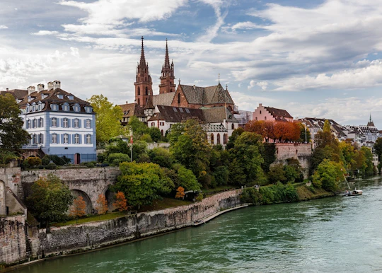 Private walking tour of Basel with local expert guide