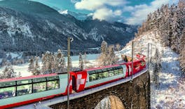 Glacier Express train and Lucerne private day trip from Basel