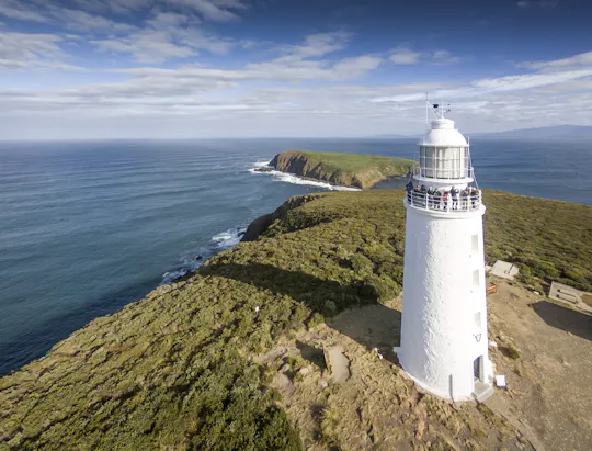 Bruny Island safaris, local food tasting and lighthouse tour