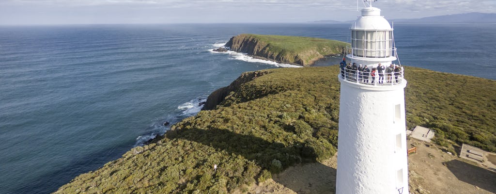 Bruny Island safaris, local food tasting and lighthouse tour