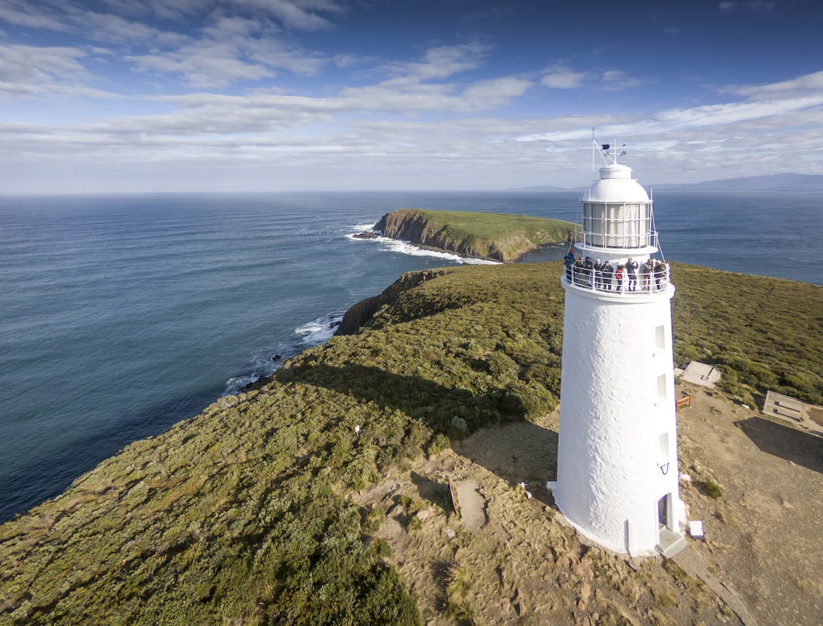 Safari all'isola di Bruny, degustazione di cibo locale e tour del faro