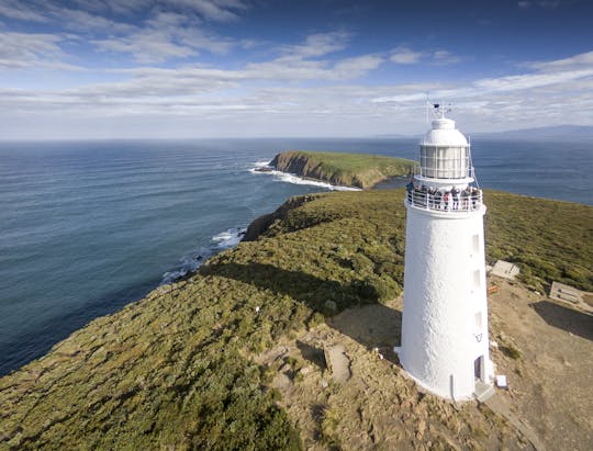 Bruny Island safaris, local food tasting and lighthouse tour