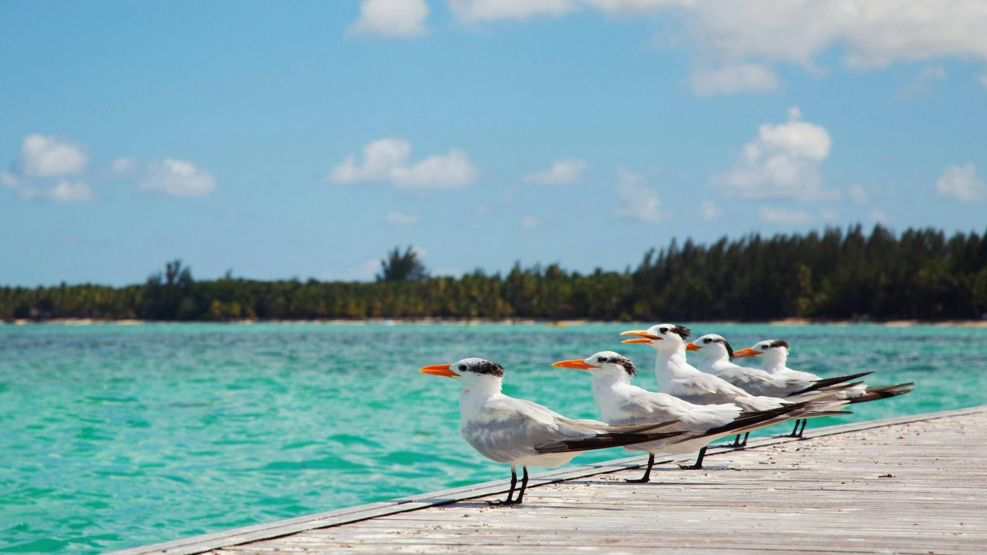 Seaquarium by Catamaran