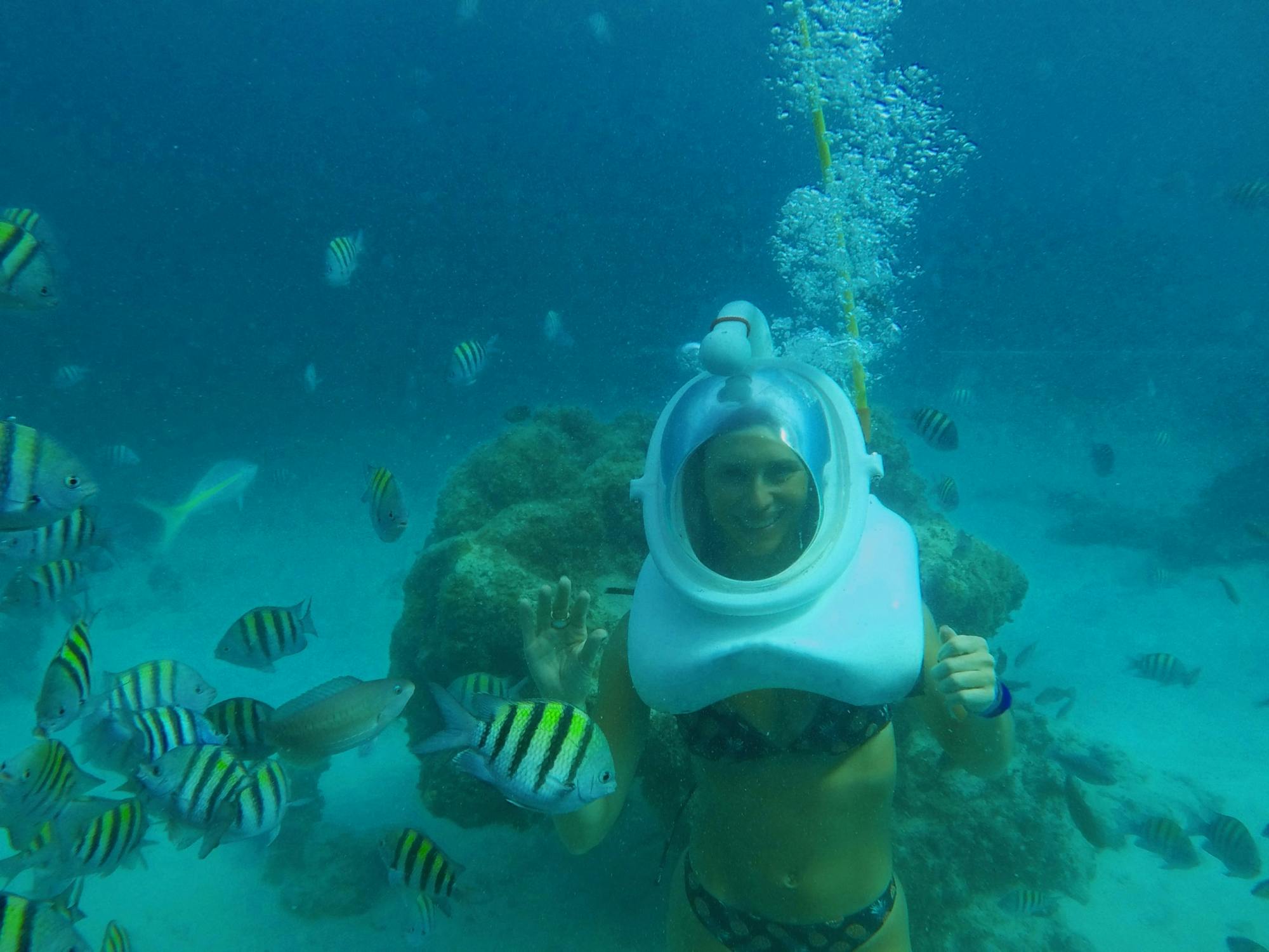 Seaquarium by Catamaran