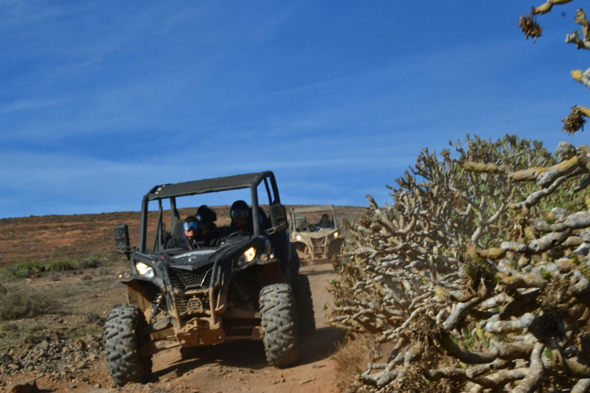 North Lanzarote mixed-terrain four-seater buggy tour with transfers