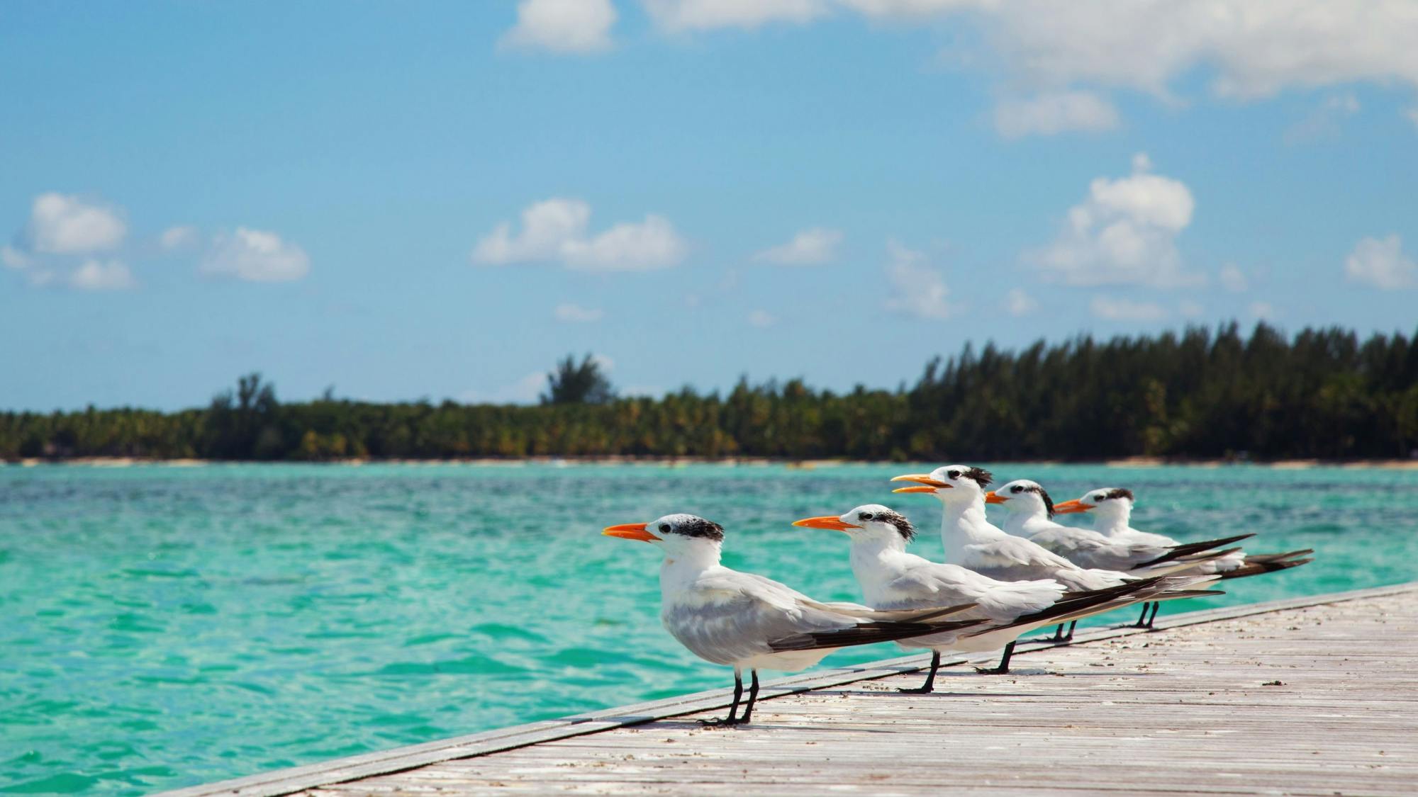 Seaquarium by Catamaran