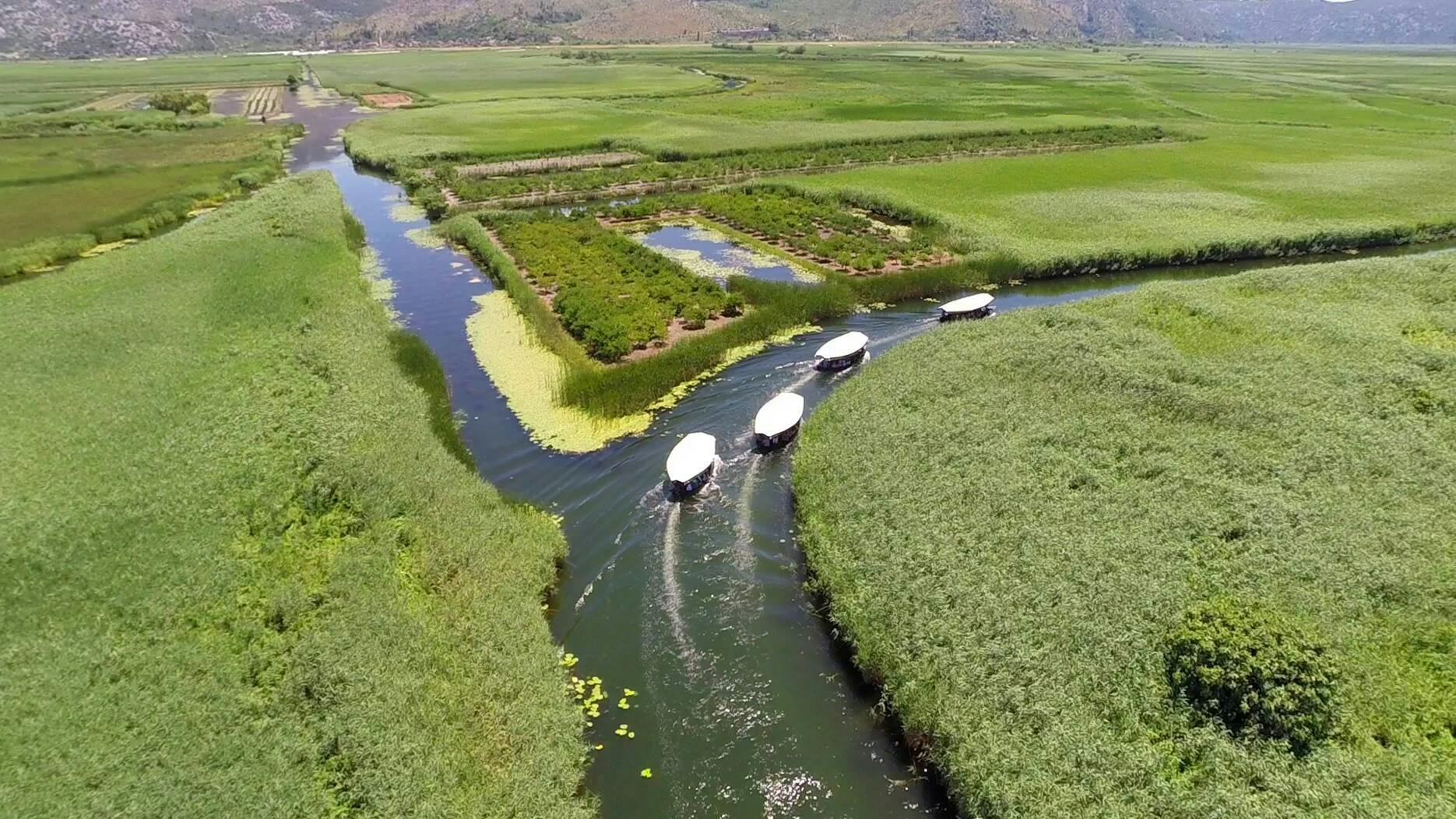 Boat ride through Croatia’s Neretva Delta with lunch
