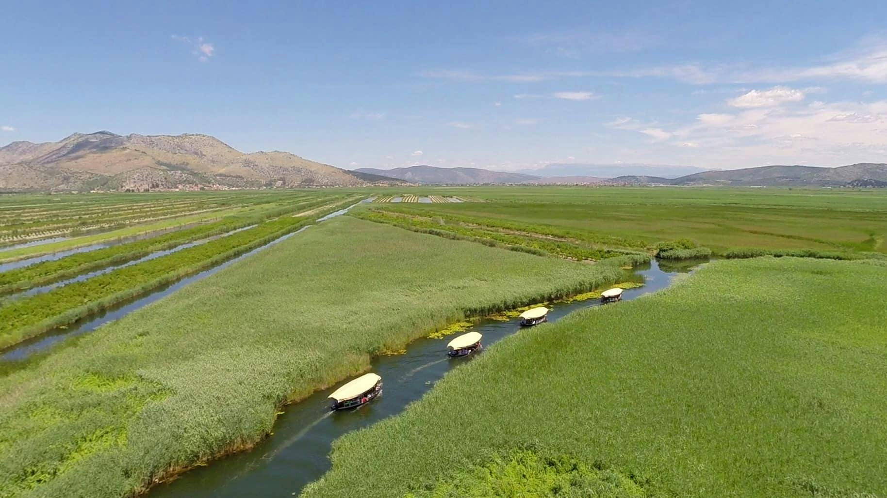 Boat ride through Croatia’s Neretva Delta with lunch