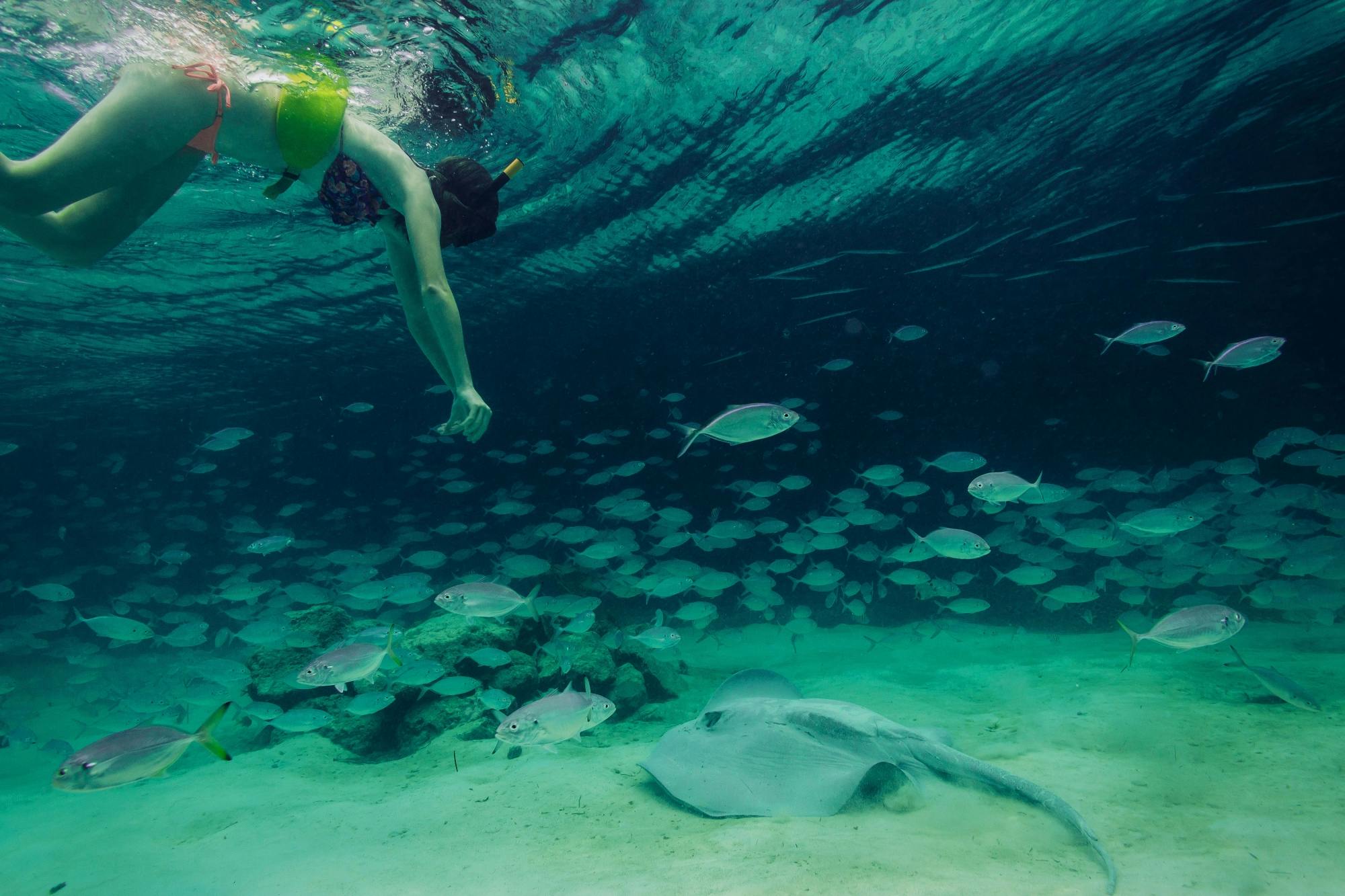 Seaquarium by Catamaran