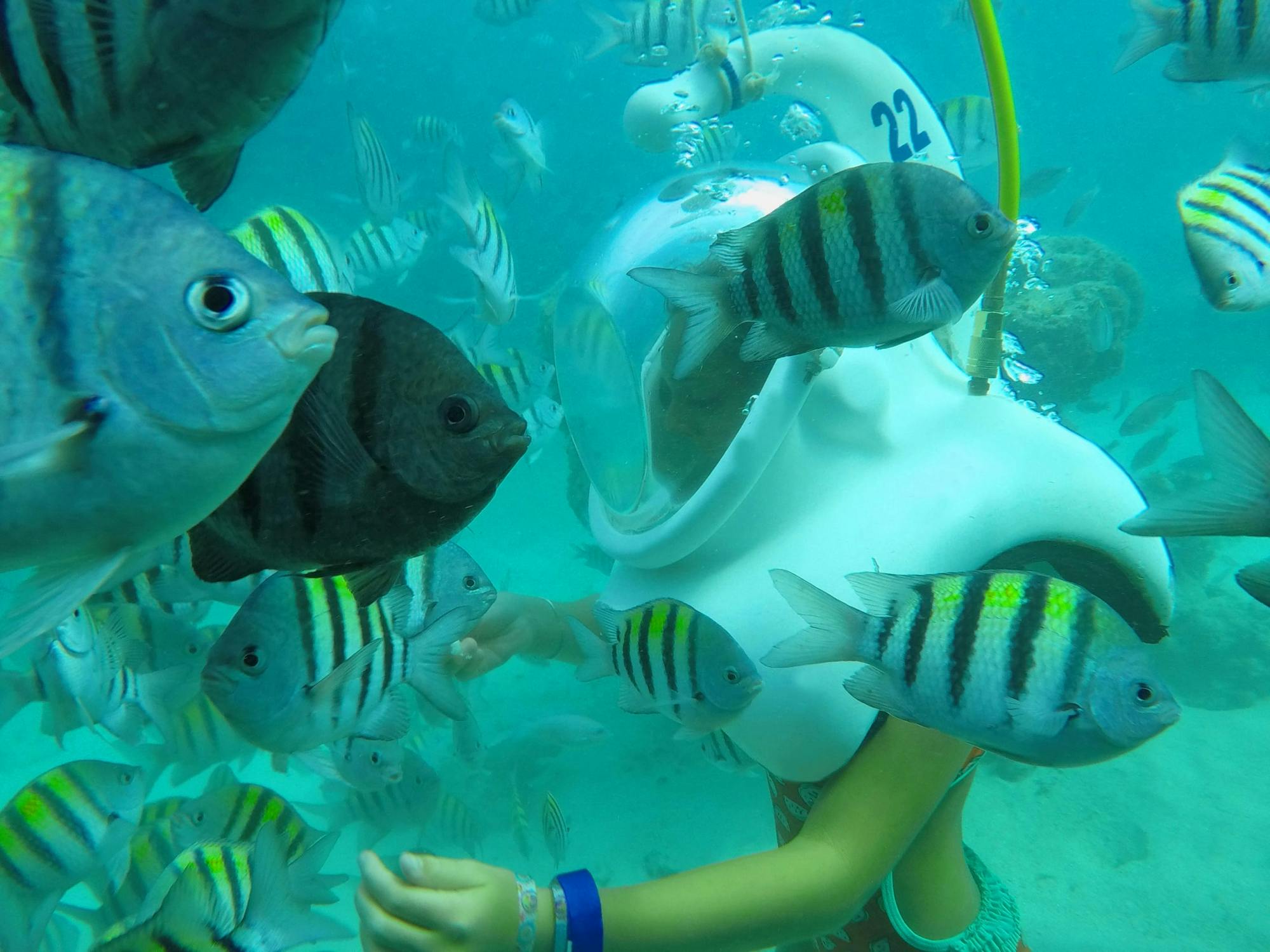 Seaquarium by Catamaran