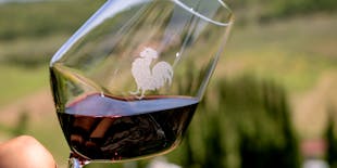 Day Tour from Florence with lunch and wine-tasting in Chianti