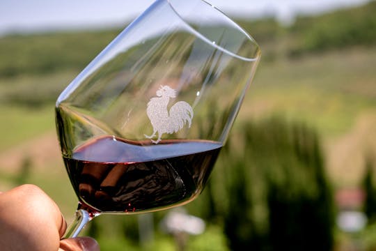Day Tour from Florence with lunch and wine-tasting in Chianti