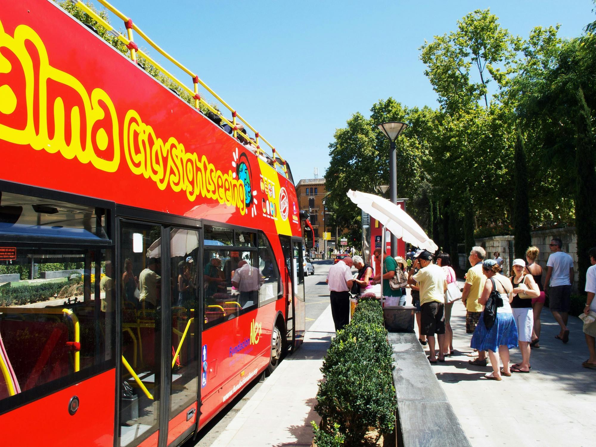 Palma hop-on hop-off bus and tourist train tickets