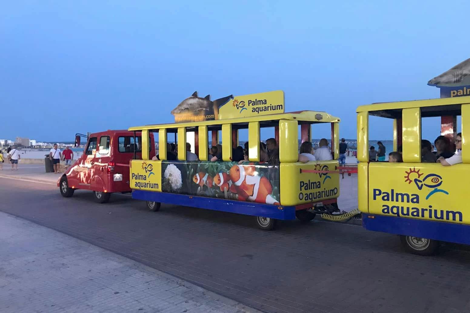 Palma hop-on hop-off bus and tourist train tickets