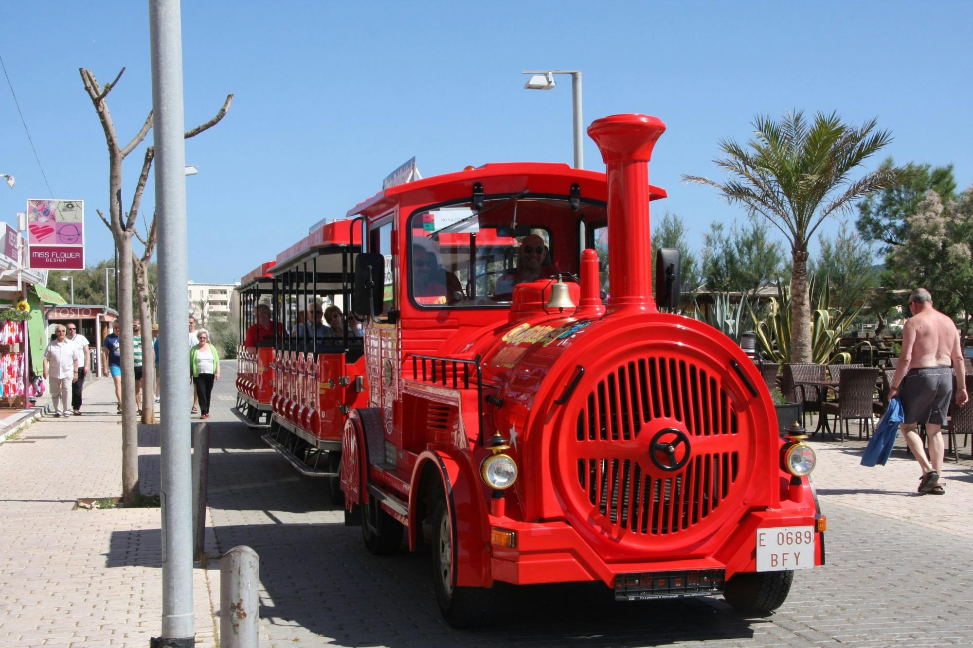Palma hop-on hop-off bus and tourist train tickets