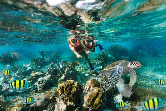 Snorkelling Adventure in Marine National Park with Beachside Lunch