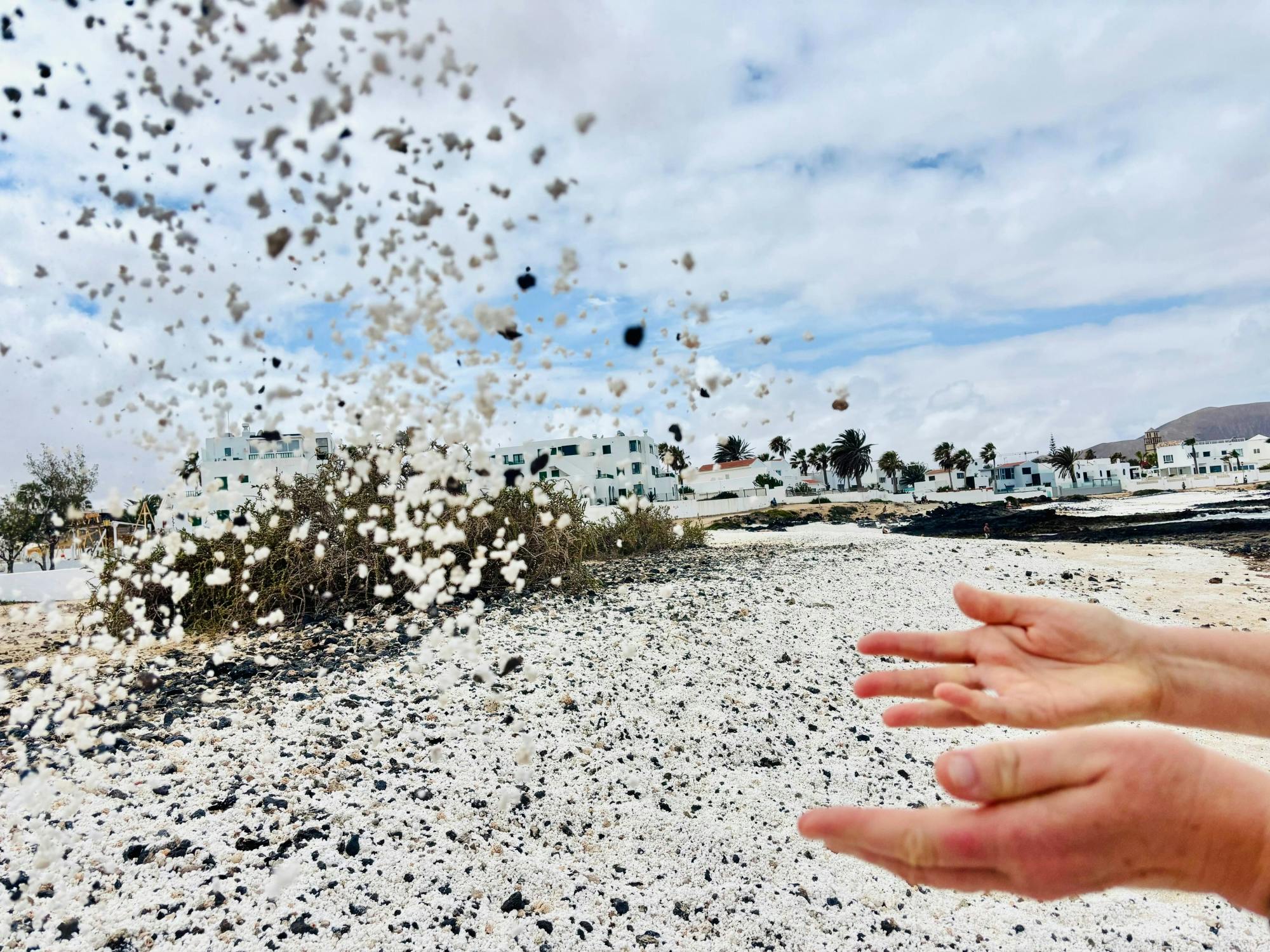 Full-day guided tour of Fuerteventura with Lobos Island by speedboat