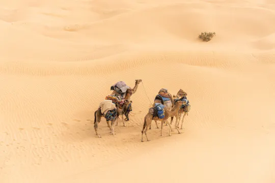 Two-day Tunisian desert adventure with traditional Bedouin camp