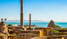 Circuit Tunis et Carthage avec prise en charge à l'hôtel et chauffeur guide