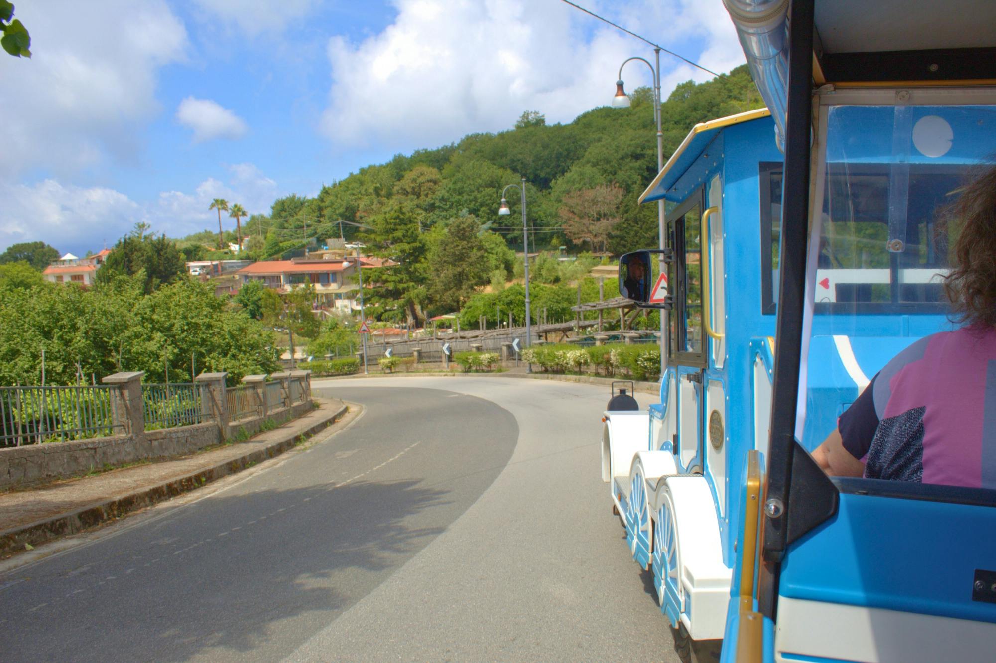 Due Golfi train tour from Sorrento