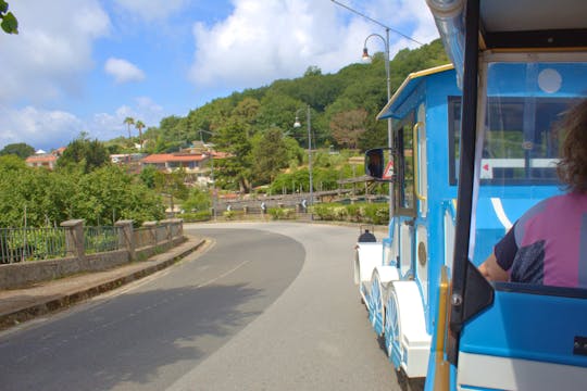 Due Golfi train tour from Sorrento