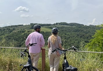 Tour di 6 ore in bici elettrica da Firenze al Chianti con pranzo e degustazioni