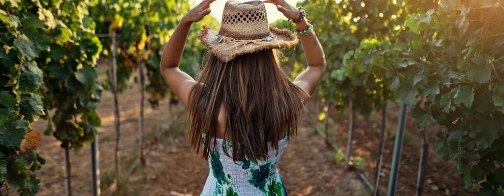 Half-day brewery and winery tour in Halkidiki