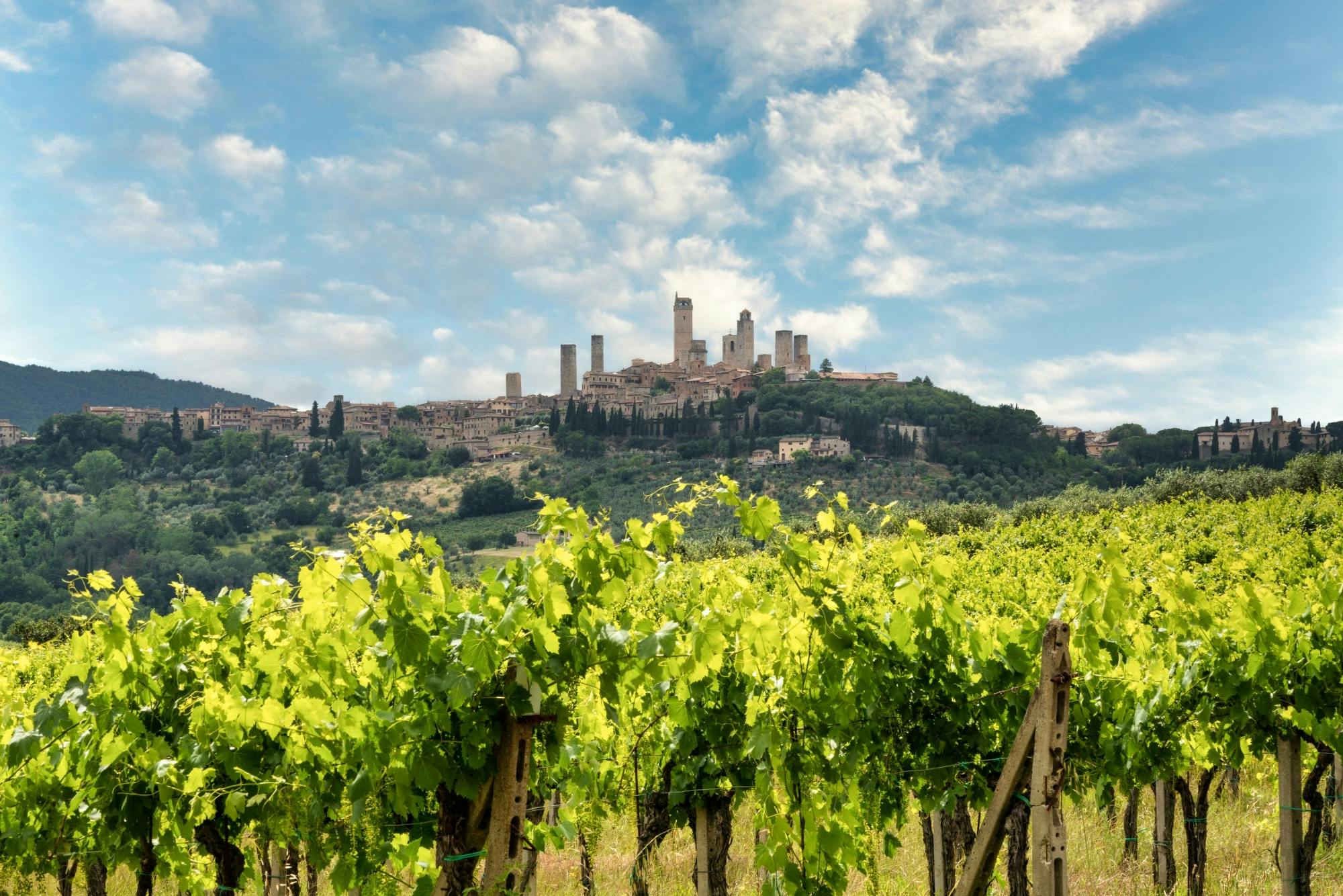 Passeio a cavalo e almoço em uma vinícola em San Gimignano