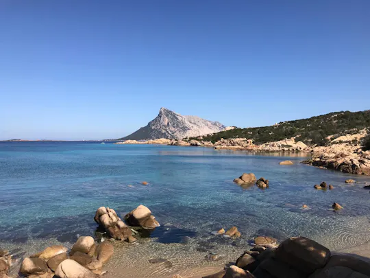 Excursion d'une demi-journée à Tavolara et Molara au départ de Pittulongu