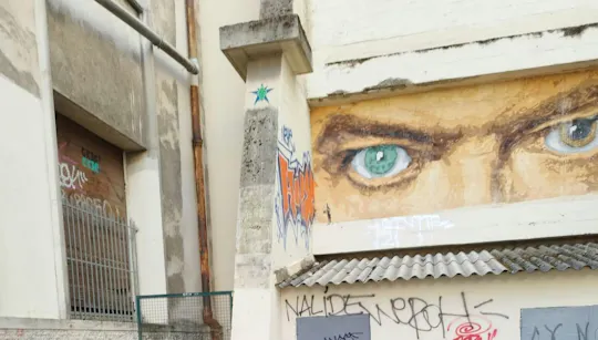 Street Art guided tour in Croix-Rousse