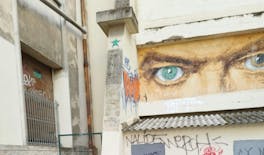 Street Art guided tour in Croix-Rousse