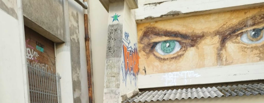 Street Art guided tour in Croix-Rousse