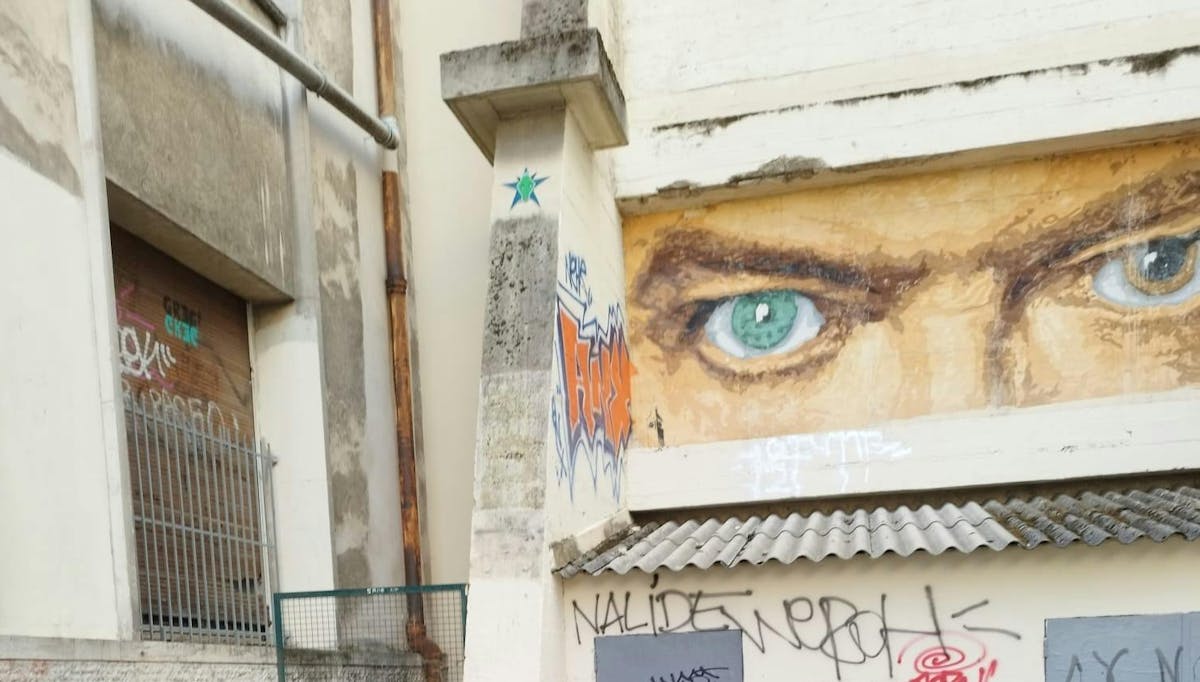 Rondleiding over straatkunst in Croix-Rousse