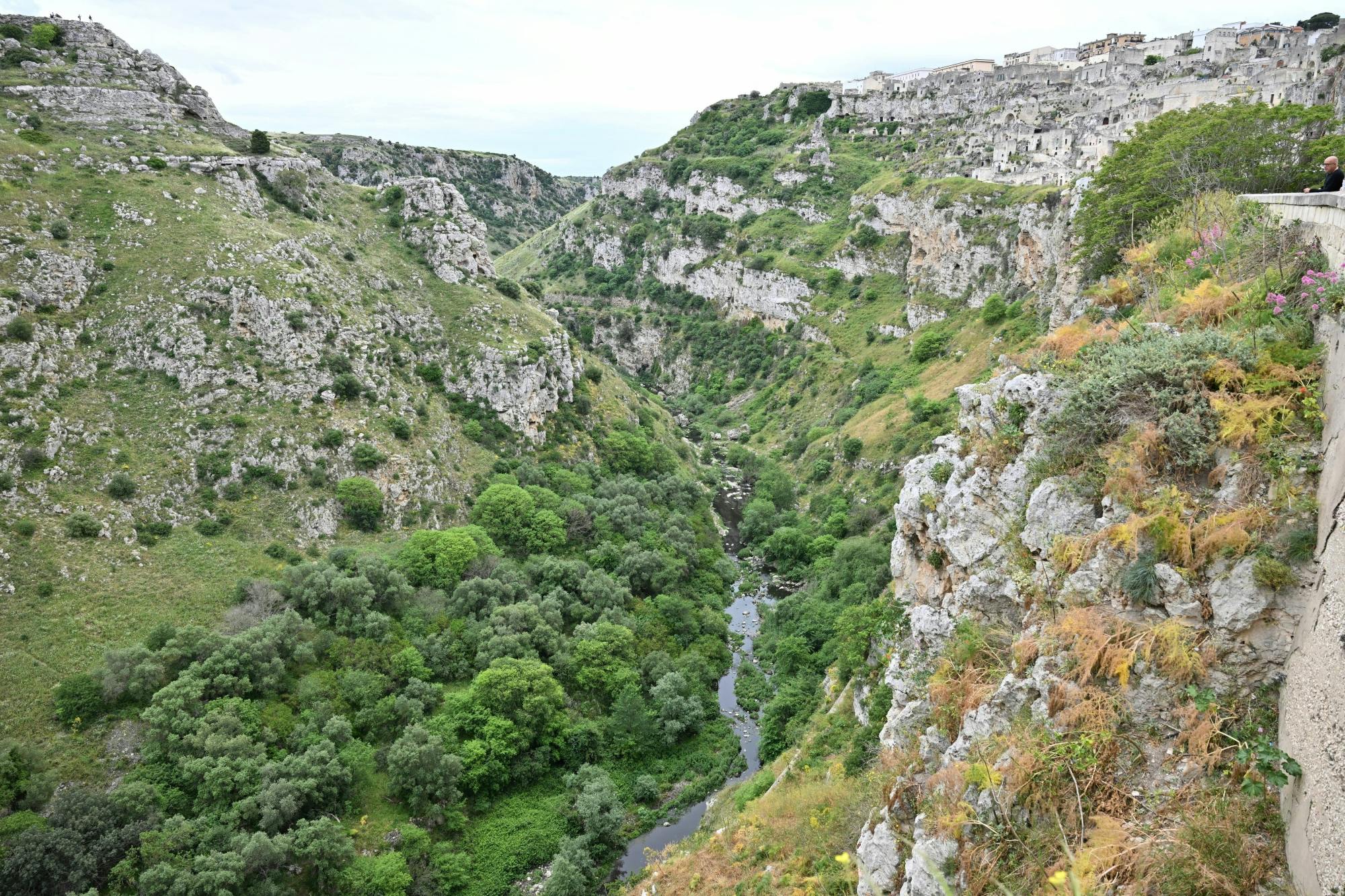 Matera tour with cave homes and local food tasting