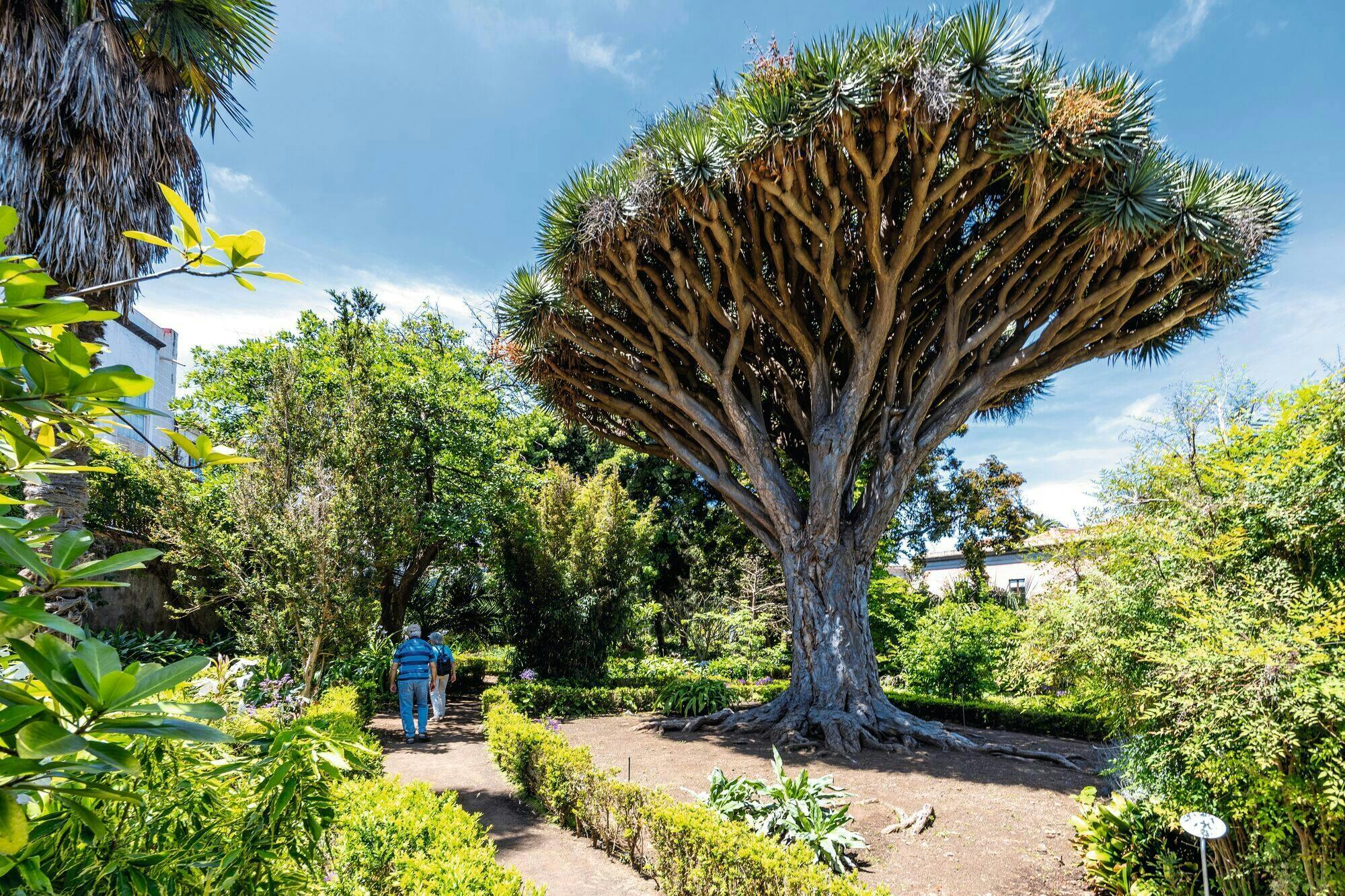 Guided Visit to Corpus Christi Festival in La Orotava