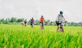 Visite guidée à vélo de la campagne de Saigon avec déjeuner