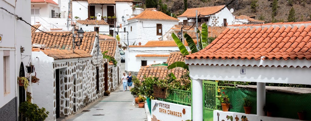 Gran Canaria 4x4 adventure with aloe vera farm visit