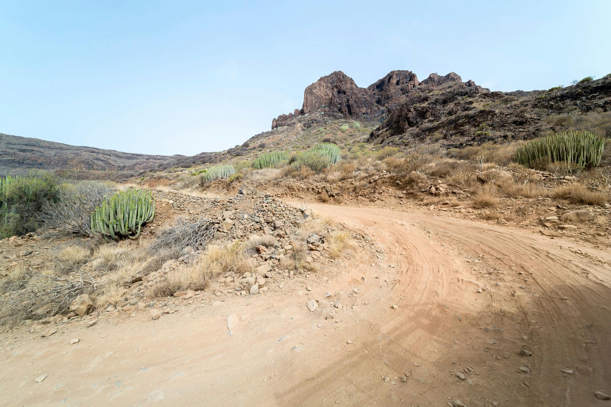 Gran Canaria 4x4 adventure with aloe vera farm visit