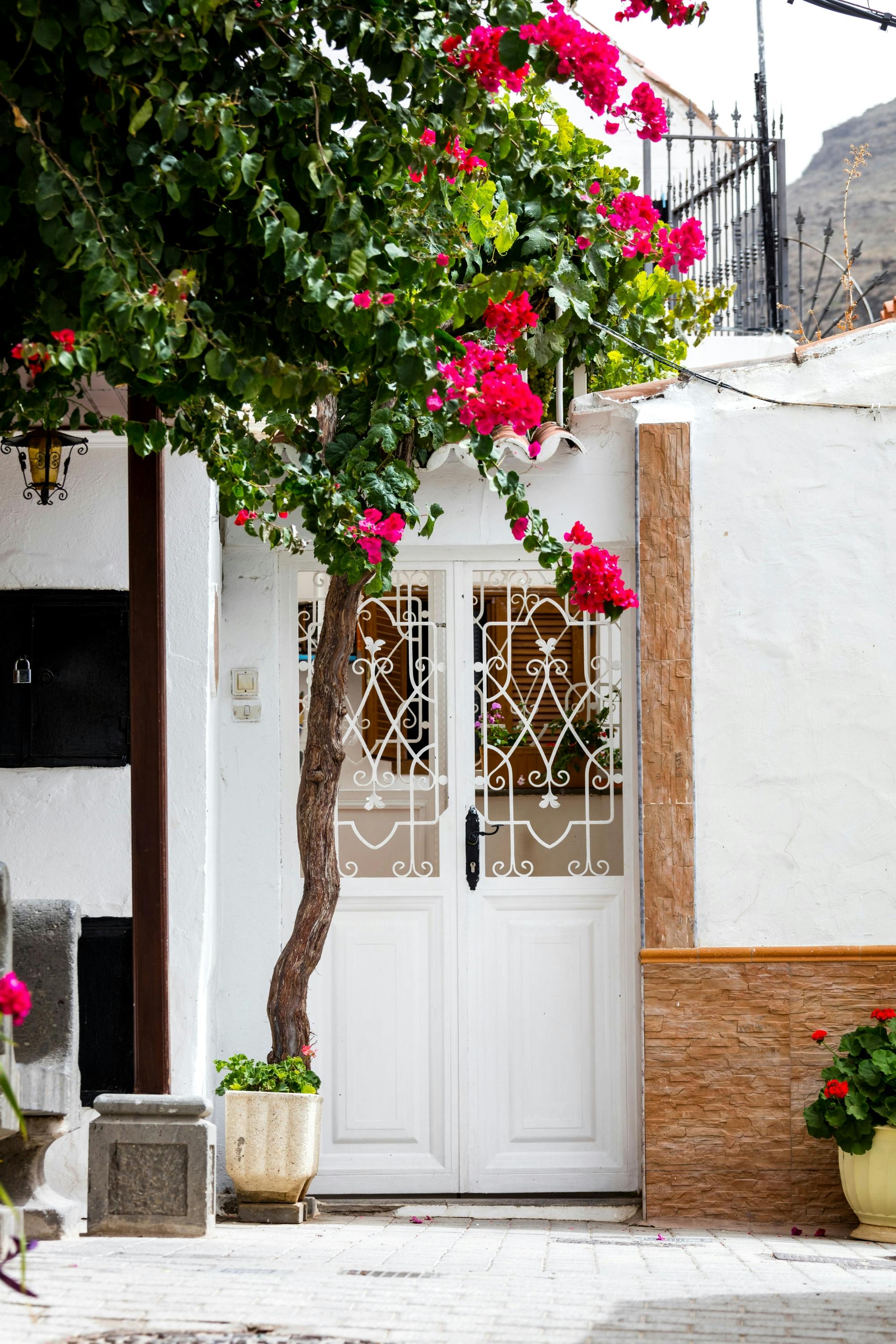 Gran Canaria 4x4 adventure with aloe vera farm visit