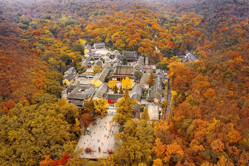 Nature in Nanjing
