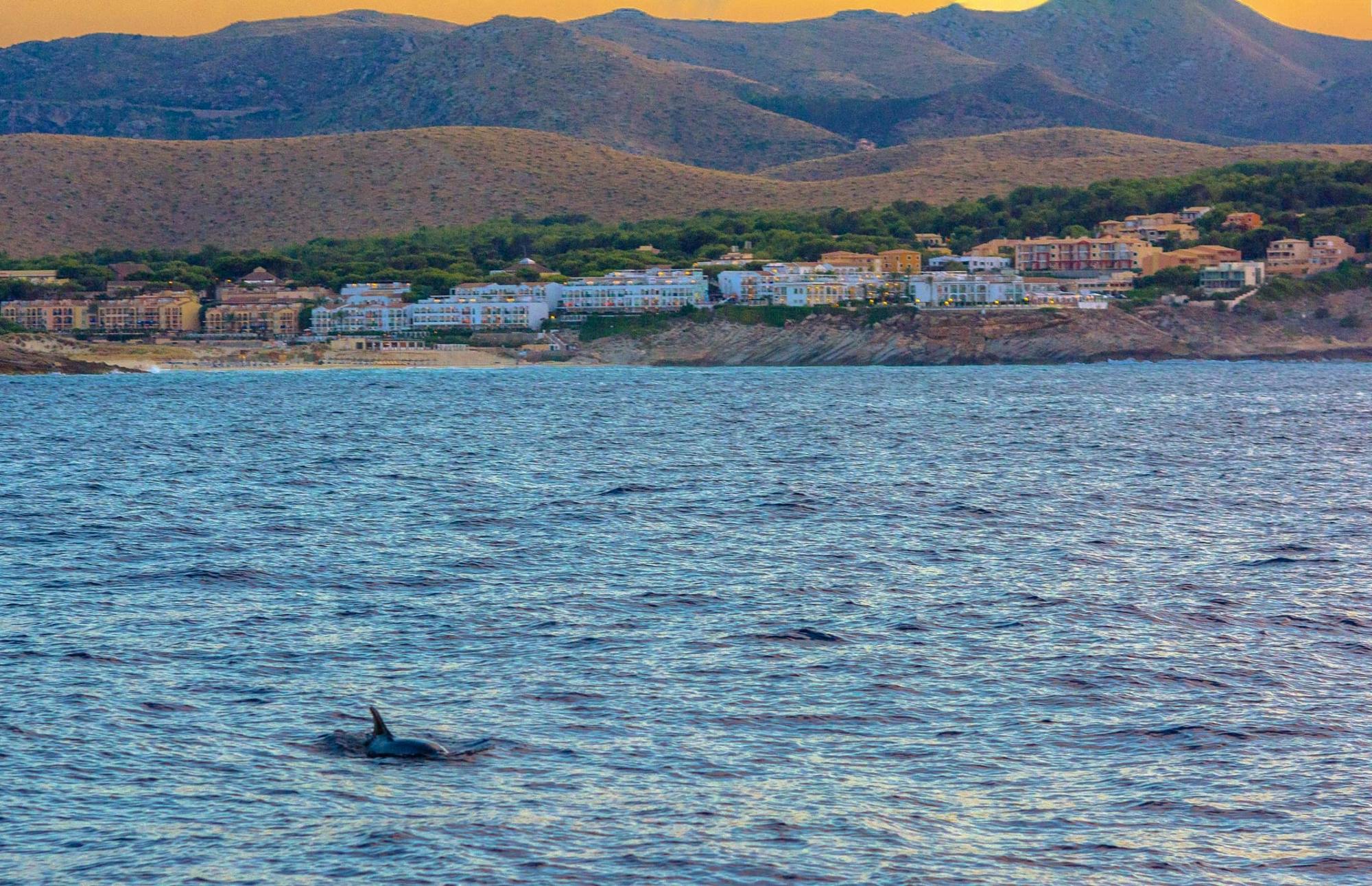 Majorca sunset cruise