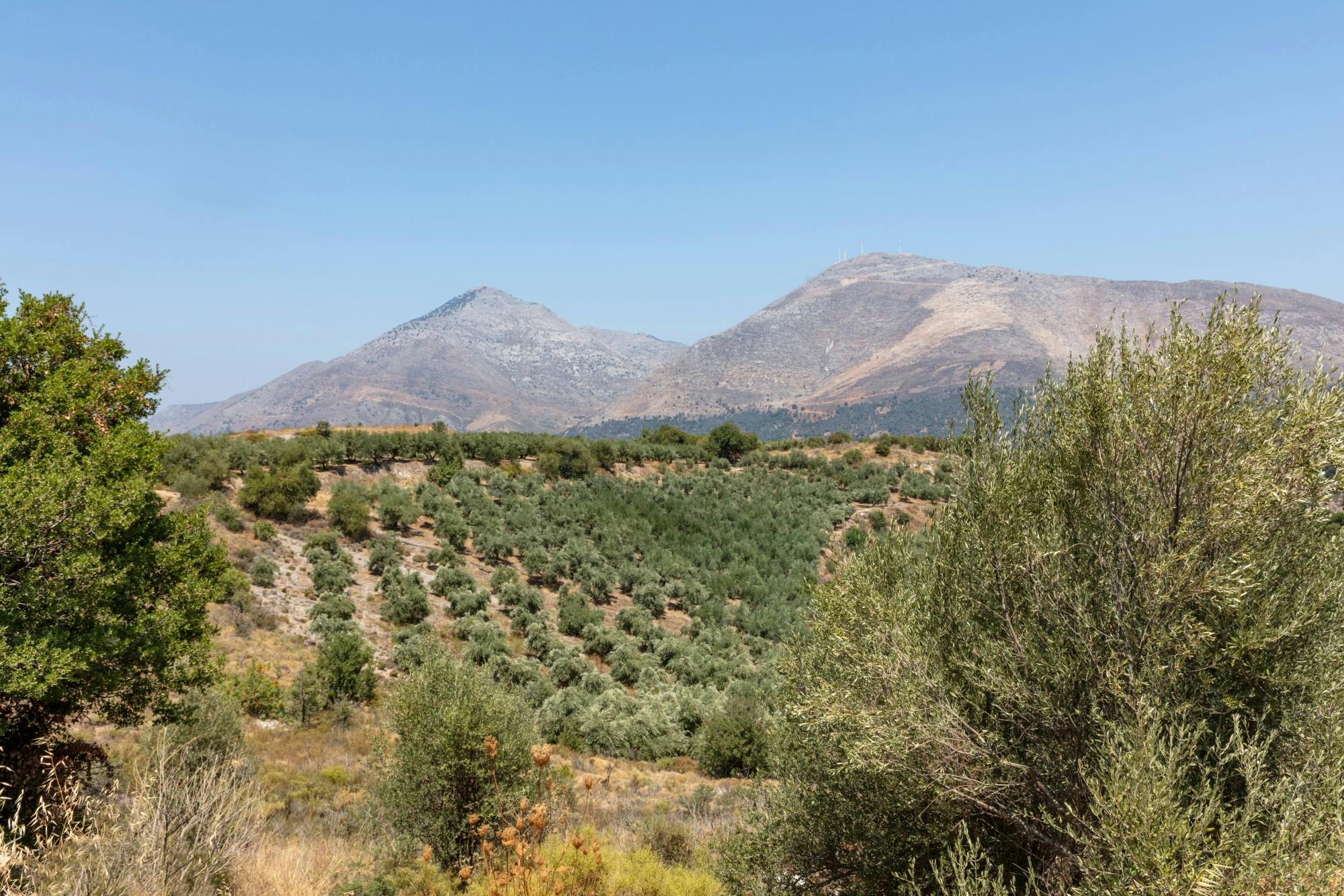Family Tour to the Mountains of Crete with Mythological Park