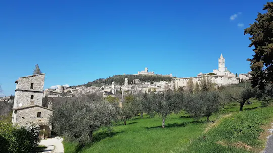 Asís y Orvieto desde Roma: una excursión de un día por Umbría