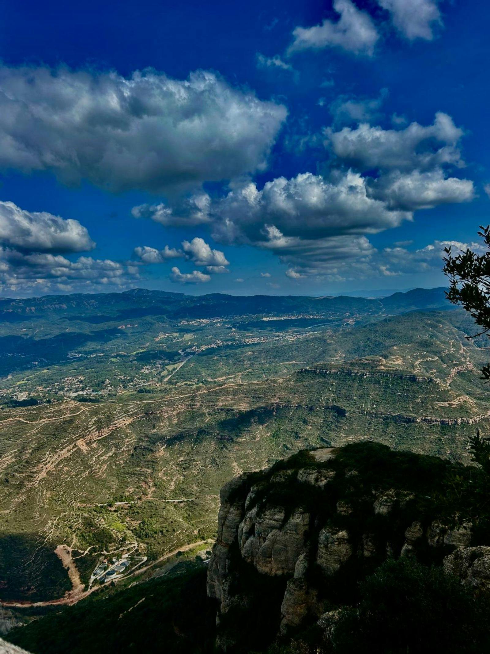 20250615684ed11f78d3a.jpg