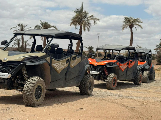 Marrakech palm grove off-road buggy adventure