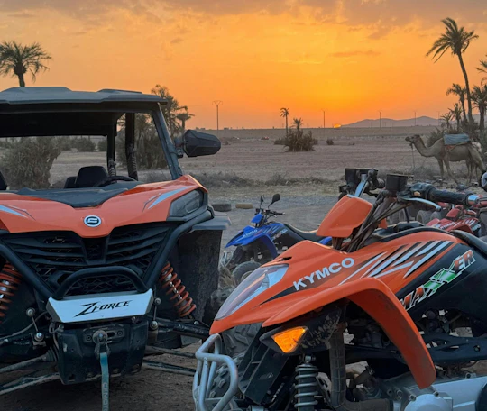 Marrakech 2-hour quad bike ride in the palm grove