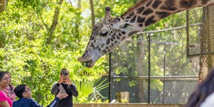 Biglietto salta fila per lo zoo e i giardini botanici della Florida centrale