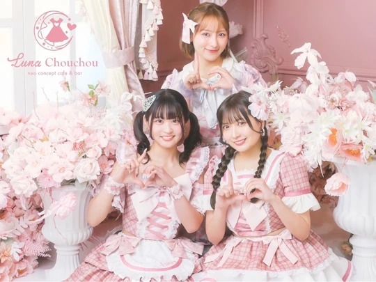 Idol talk and drink experience plan