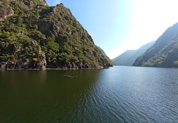 Ribeira Sacra and Ourense guided day trip with river cruise