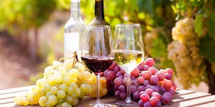 Wine tasting in Contovello vineyard with local winemaker